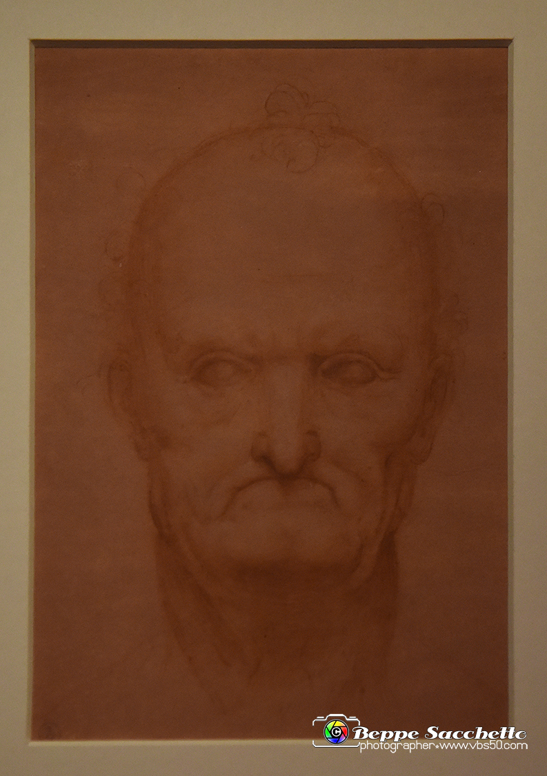 VBS_9738 - Mostra A tu per tu con Leonardo.jpg